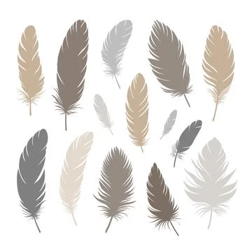 Bird feathers of different shapes, sizes and colors. Large set of different.. Stock Illustration