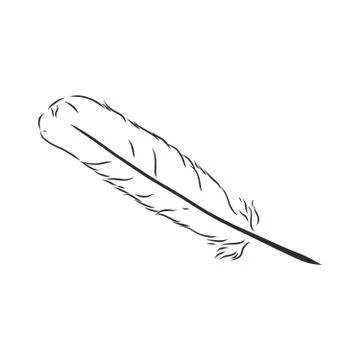 Bird feathers. Hand drawn illustration converted to vector. Outline with tran Stock Illustration