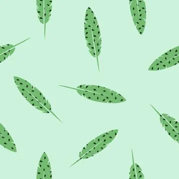 Bird Feathers seamless pattern texture design element Stock Illustration