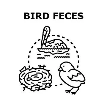 Bird feces concept vector illustration outlining various birds Illustrazione stock
