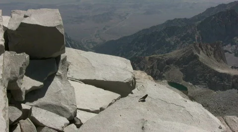 Bird feed-1 Stock Footage 654241