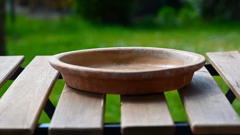 Bird feed is filled into a container slow motion Stock Footage 128320876