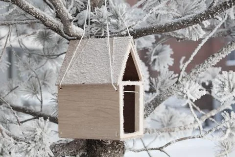 Bird feedbox hanging on the tree in the snow and frost. Foto stock