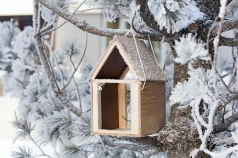 Bird feedbox hanging on the tree in the snow and frost Stock Photos