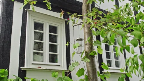 Bird Feeder and Tree Before Half-Timbered House Windows Stock Footage 344389670