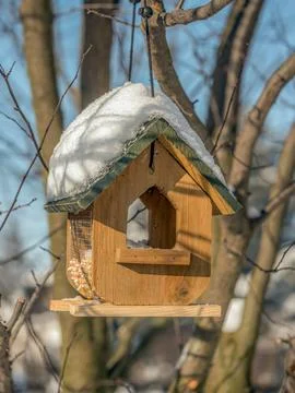 Bird feeder attached to a tree in cold winter Foto stock