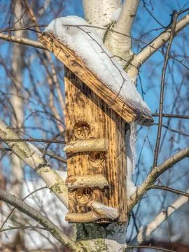 Bird feeder attached to a tree in cold winter Foto stock