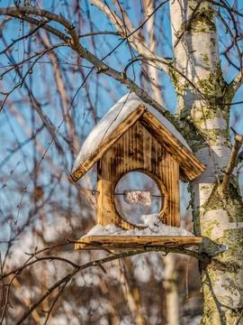 Bird feeder attached to a tree in cold winter Foto stock