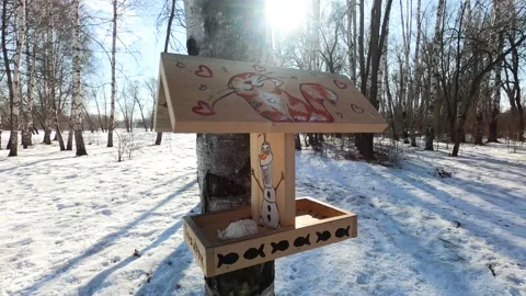 Bird feeder with a beautiful pattern Stock Footage 149025915