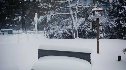 Bird Feeder in Blizzard (2 Shot) Stock Footage 1016396