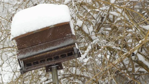Bird Feeder during a snow storm 스톡 동영상 89847125
