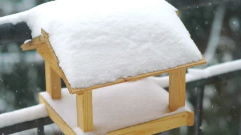 Bird feeder during snowfall in 4k slow motion 60fps Stock Footage 148996992