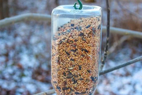 Bird feeder filled with assorted seeds hanging in winter setting Stock Photos