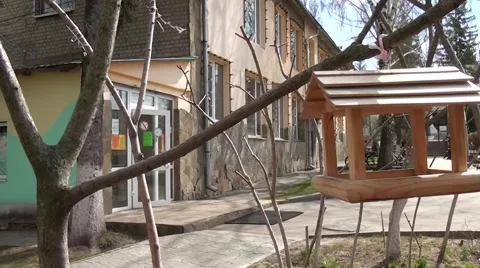 The bird feeder. Stock Footage 49738757