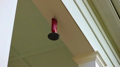 Bird Feeder Stock Footage 273257827