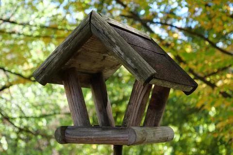 Bird feeder in the forest Stock-Fotos