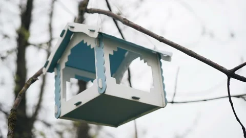A bird feeder in the form of a bird house hangs on the branches of a tree Stock Footage 231557992