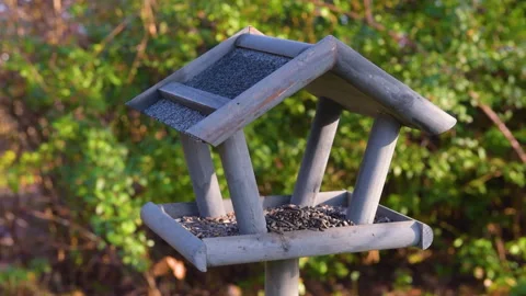 Bird feeder in garden Stock Footage 259247844