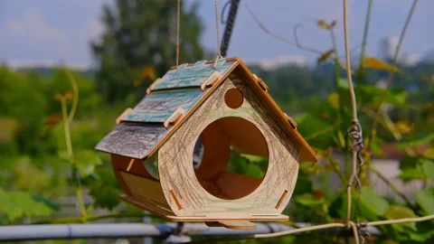 Bird feeder with grain inside. The birdhouse swings in the wind in the garden. Stock Footage 136652289
