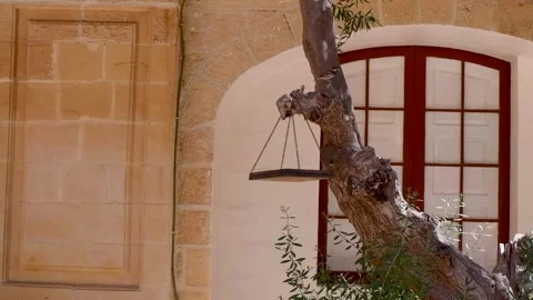 A bird feeder hanging from a tree in a backyard Vídeos de archivo 301636137
