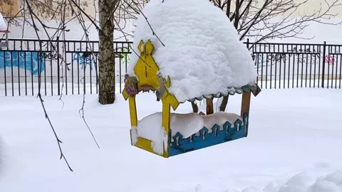 Bird feeder hanging from a tree. Bird feeder in the winter snowy forest Stock Footage 170888177