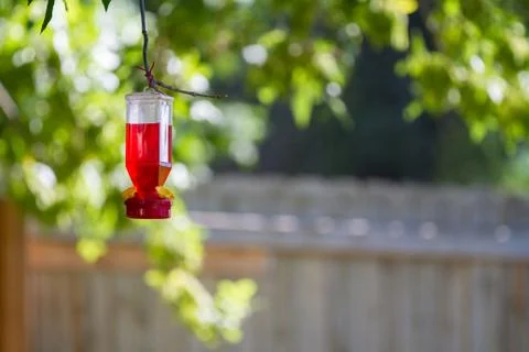 Bird feeder hanging from a tree branch Foto stock