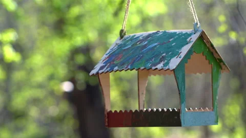 Bird feeder hanging from a tree. Green wooden birdhouse during springtime. Stock Footage 154716970