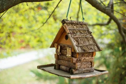 Bird feeder hanging on the tree. Stock Photos
