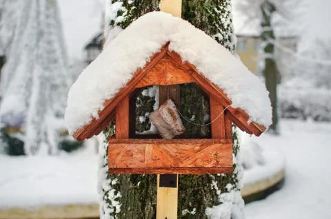 Bird feeder hanging on a tree Stock Photos