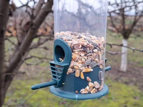 Bird feeder hanging in the tree Фото