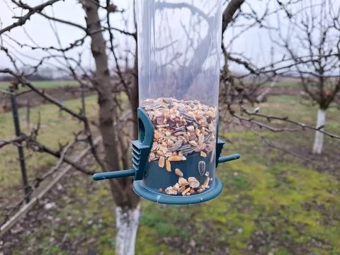 Bird feeder hanging in the tree Stock Photos