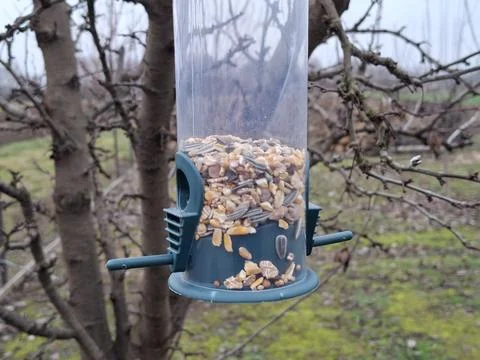 Bird feeder hanging in the tree Foto stock