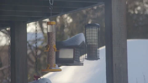Bird Feeder Hanging In Winter Stockbeeldmateriaal 35227911