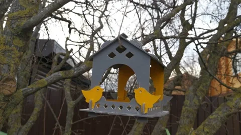 A bird feeder hangs from a tree and sways in the wind. Video stock 150988274