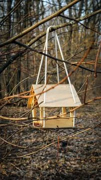 Bird feeder hangs from tree branches in a serene forest setting filled with.. Stock-Fotos
