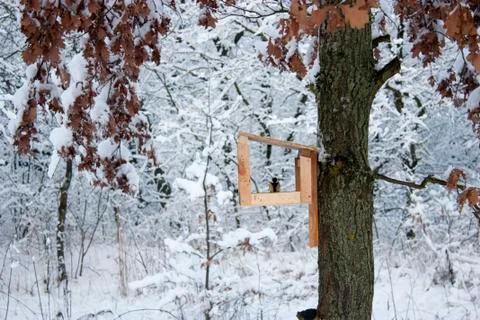 Bird feeder hangs on a tree in the winter. A lot of snow. Stock Photos