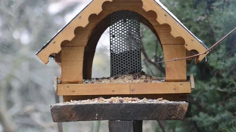 Bird feeder house in winter time Vídeo Stock 71372169