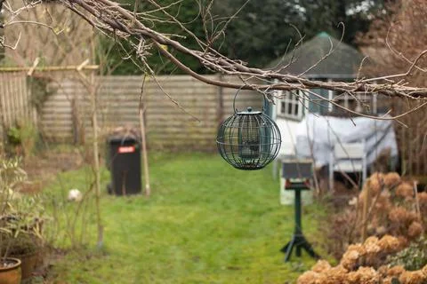 Bird feeder &amp; Hydrangeas during winter. Stock Photos