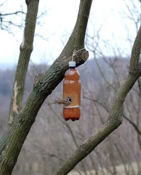 Bird feeder made from plastic bottles Stock Photos