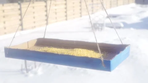 The bird feeder with millet spins on strings in winter. Black promist effect Stock Footage 149040065