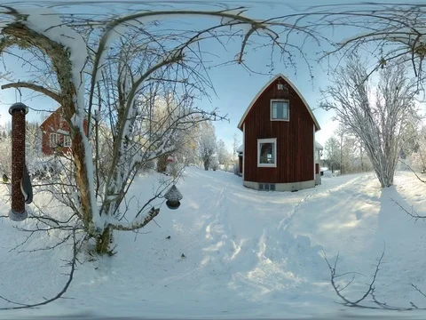 Bird Feeder, Nuthatch and Garden Birds Wintertime - 360 VR Video stock 83830261