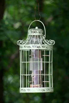 Bird feeder Stock Photos