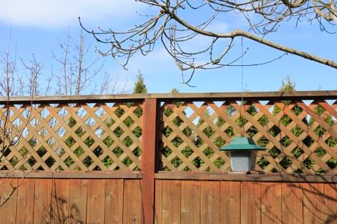 Bird feeder Foto stock