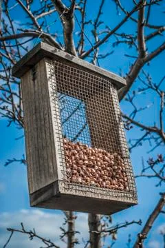 Bird feeder Stock Photos