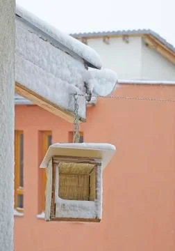 Bird feeder 스톡 사진