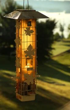 Bird Feeder Stock Photos