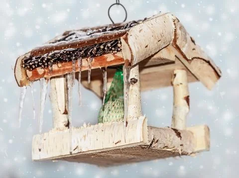 Bird feeder Stock Photos