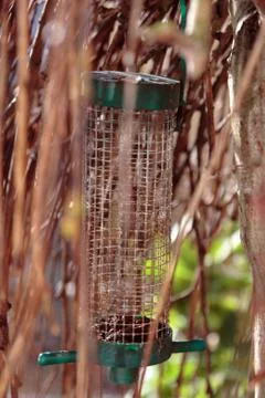 Bird feeder Stock Photos