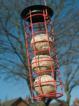 Bird feeder Stock Photos