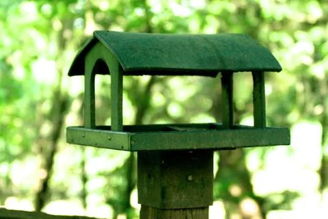 Bird feeder Foto stock